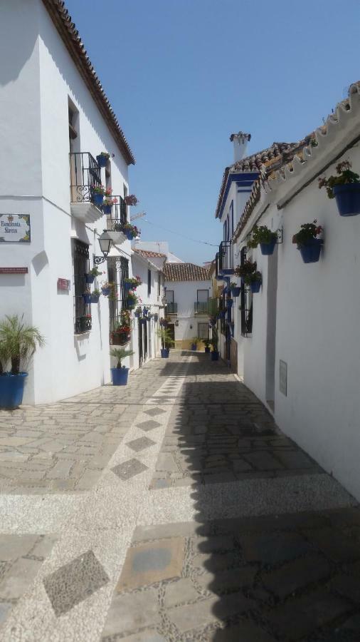 Puerto Deportivo Estepona Bagian luar foto